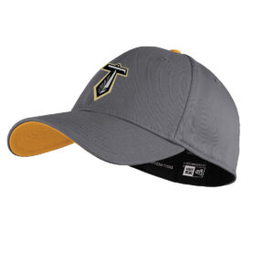 Titans Interception Cap